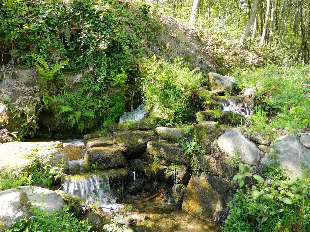 Quinta Lamosa Agroturismo Arcos de Valdevez Esterno foto